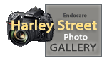 logo-harley-street-gallery